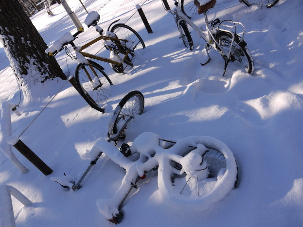 Eine dichte Ansammlung von Fahrrädern, teilweise im Schnee begraben, mit einem Baumstamm und Straße daneben.