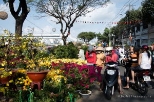 Eine Gruppe von Menschen in Helmen und Mützen, einige gehen und einige fahren Fahrräder auf einer Straße, mit Pflanzen, einem Blumentopf auf einem Hocker, Bäumen, einem Pfahl, Drähten, einer Laterne, einer Brücke und Gebäuden in der Nähe.