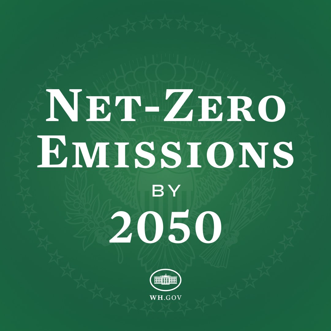 Weißer fettgedruckter Text "net-zero Emissionen bis 2050" auf einem festen grünen Hintergrund.