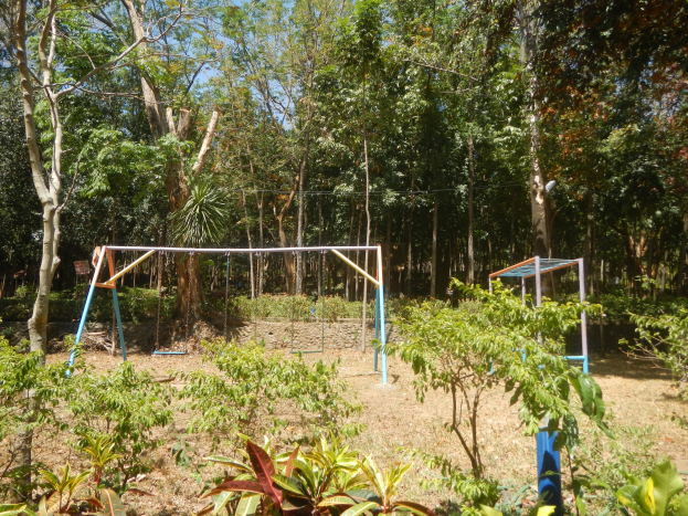 Eine Schaukelanlage mit Metallstangen und -pfosten, umgeben von Grün und Bäumen, unter einem klaren blauen Himmel.