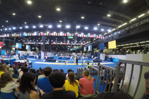 Eine große Menge von Menschen, die vor einer Bühne sitzen und stehen, mit einem Geländer auf der rechten Seite, Bildschirmen, Flaggen und Lichtern im Hintergrund, wahrscheinlich bei den Europameisterschaften 2018.