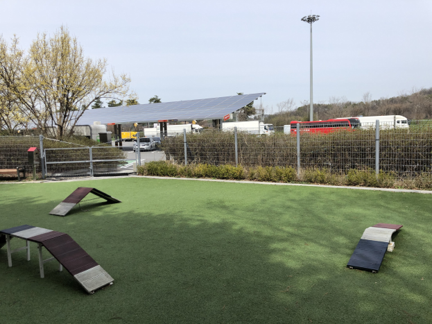 Ein eingezäunter Hundepark mit Kunstgras, Rampen und umgebender Vegetation, Fahrzeugen, Schuppen und einem Laternenmast.
