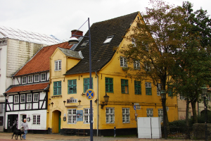 Eine Frau in einem grauen T-Shirt spaziert mit einem schwarzen Hund an der Leine vor der Stadt, mit gelben und weißen Gebäuden mit braunen und roten Dächern, einem Lichtmast, einem Richtungsschild, Bäumen, Sträuchern, einem Geländer und einem weißen schrankähnlichen Kasten im Hintergrund, unter einem Himmel.