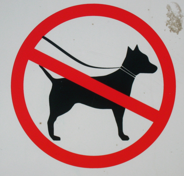 Ein Schild an einem Gebäude, das einen Hund mit einem Verbotszeichen zeigt, bedeutet, dass Hunde in dem Gebiet nicht erlaubt sind.