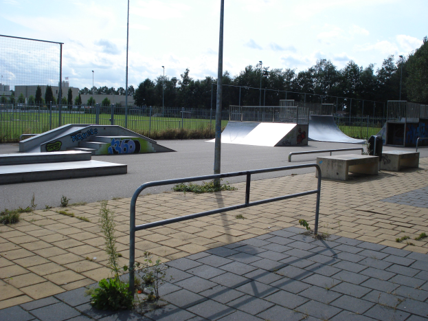Ein Skate Park mit Rampen, Geländern, Pflanzen, Gras, Pfählen, Bäumen, Gebäuden und einem bewölkten Himmel im Hintergrund.
