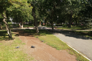 Ein Park mit einer Straße, gesäumt von Bäumen und Gras, mit einem zentralen Brunnen und Straßenlaternen.