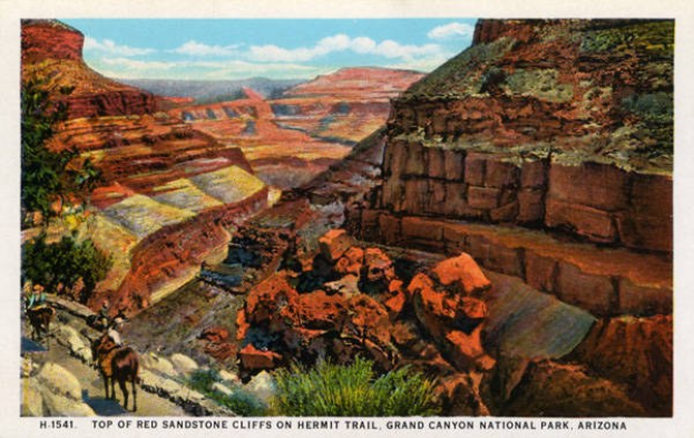 Plakat des Grand Canyon National Park in Arizona, das rote Sandsteinfelsen am Hermit Trail zeigt, Berge, Vegetation, Wildtiere und einen bewölkten Himmel mit Text unten.