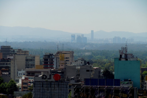 Mehrere Gebäude, Bäume und Schilder mit Text darauf.