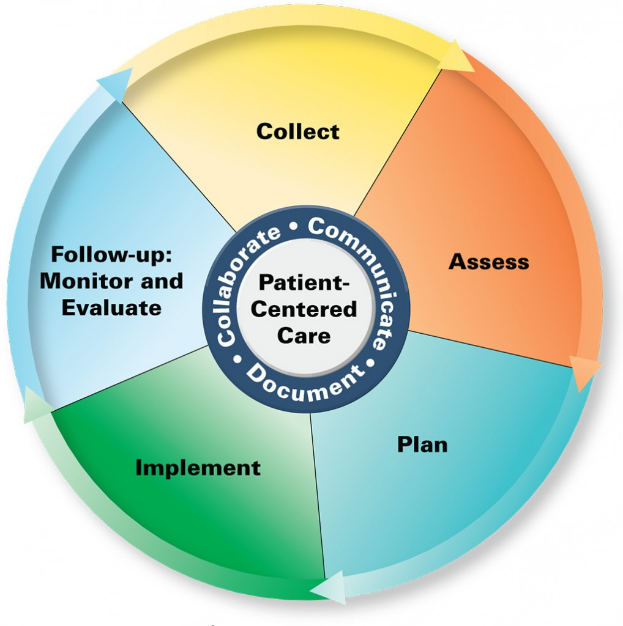 Ein Kreisdiagramm mit "patientenorientierter Pflege" in der Mitte, unterteilt in vier farbige Abschnitte, jeweils mit einer Beschreibung der Pflege, die es bietet.